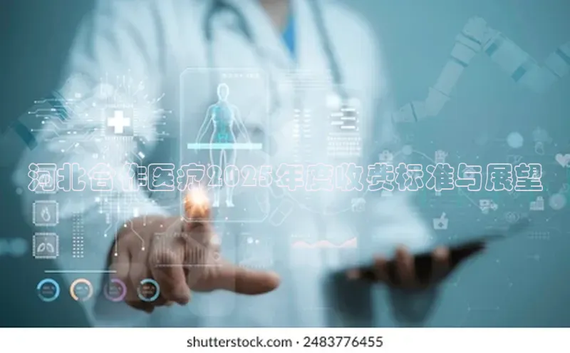 杏盛平台总代理