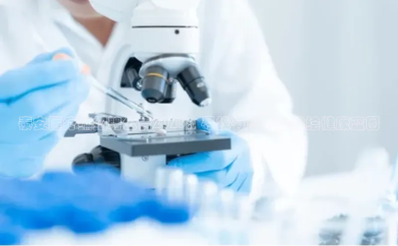 杏盛测速app官方下载最新版